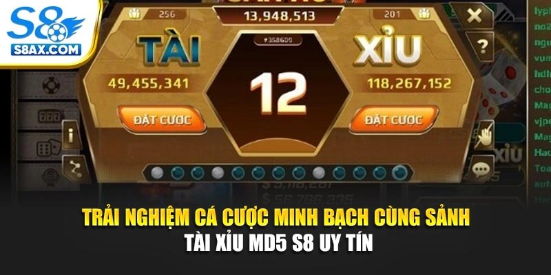 Trải Nghiệm Cá Cược Minh Bạch Cùng Sảnh Tài Xỉu MD5 S8 Uy Tín
